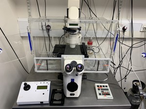 Thumbnail image of Zeiss Axiovert 200M Inverted Microscope with Heating & CO₂ Control System