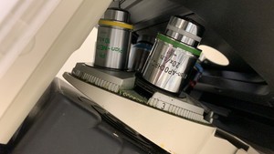Thumbnail image of Zeiss Axiovert 200M Inverted Microscope with Heating & CO₂ Control System