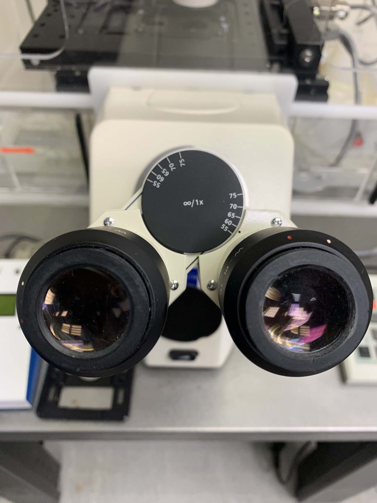 Image of Zeiss Axiovert 200M Inverted Microscope with Heating & CO₂ Control System