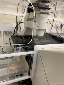 Thumbnail image of Zeiss Axiovert 200M Inverted Microscope with Heating & CO₂ Control System