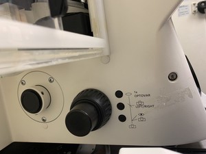 Thumbnail image of Zeiss Axiovert 200M Inverted Microscope with Heating & CO₂ Control System