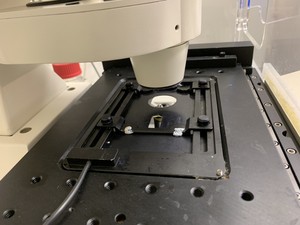 Thumbnail image of Zeiss Axiovert 200M Inverted Microscope with Heating & CO₂ Control System