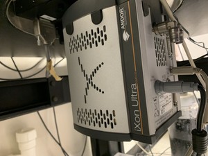 Thumbnail image of Zeiss Axiovert 200M Inverted Microscope with Heating & CO₂ Control System