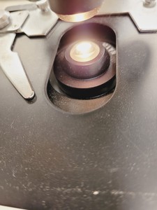 Thumbnail image of Brunel SP550C Comparison Microscope w/ 4 x Objectives 4/10/40/100x  Lab