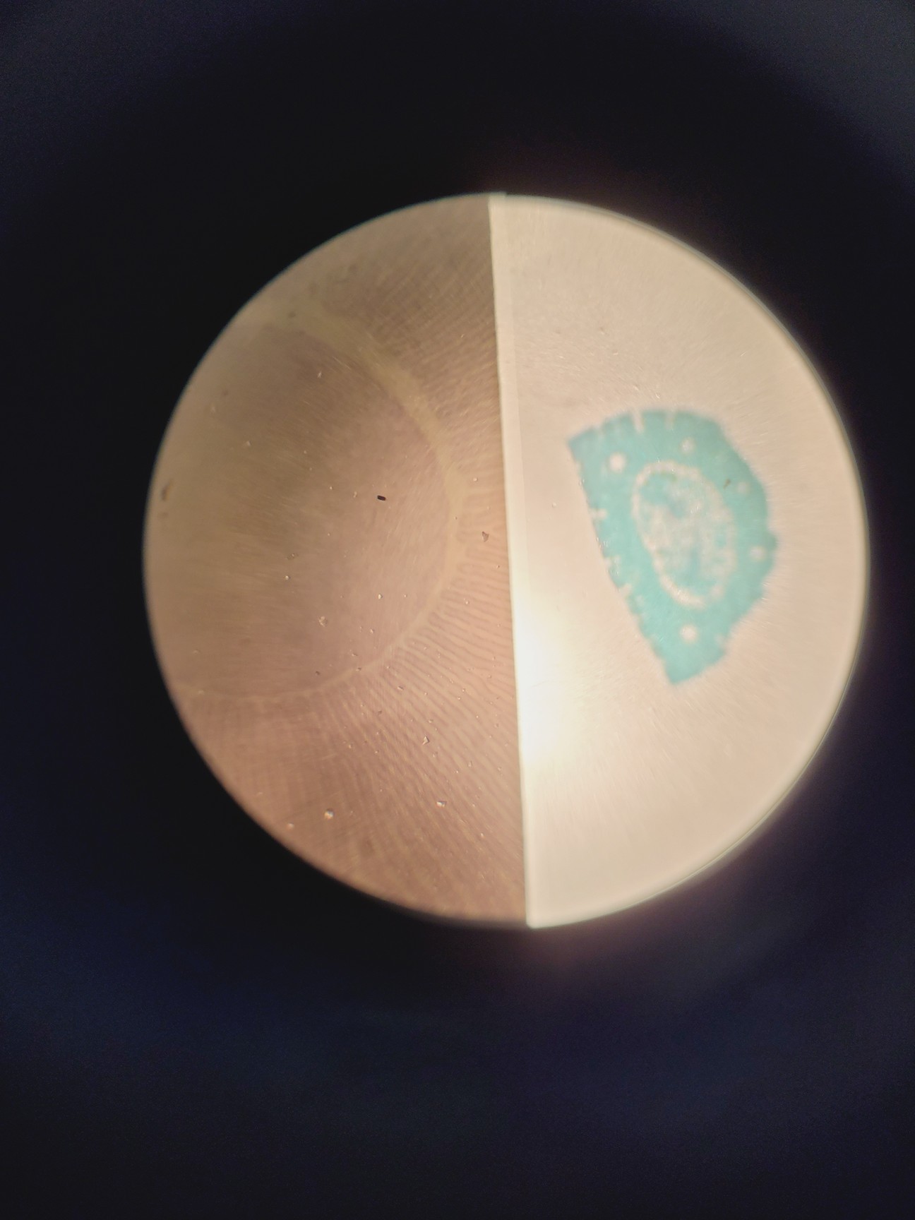 Image of Brunel SP550C Comparison Microscope w/ 4 x Objectives 4/10/40/100x  Lab