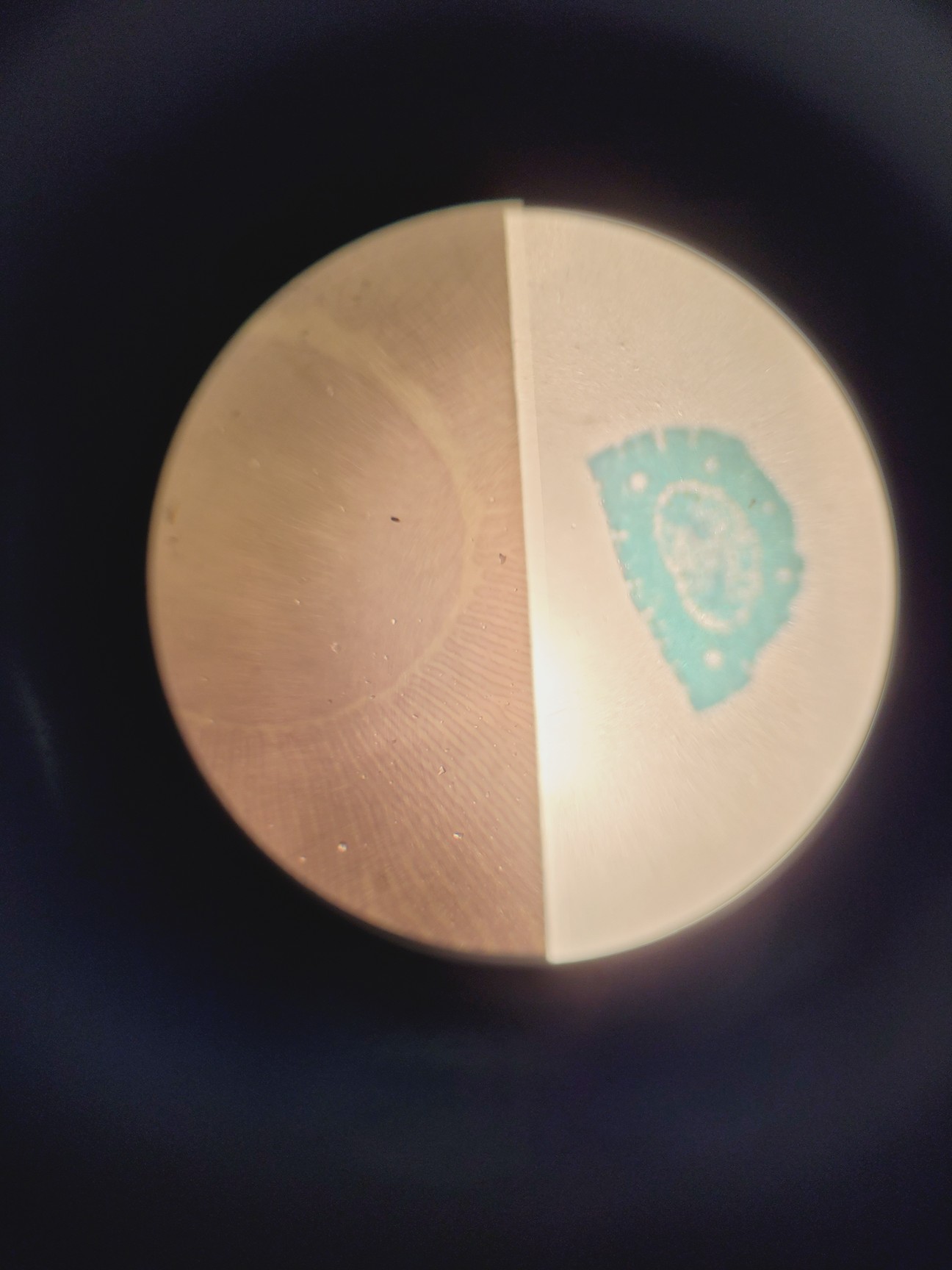 Image of Brunel SP550C Comparison Microscope w/ 4 x Objectives 4/10/40/100x  Lab