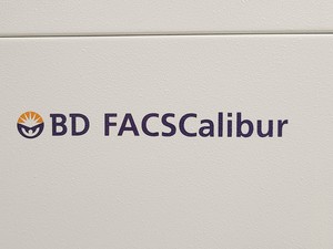 Thumbnail image of BD FACSCalibur Flow Cytometer and Transformer