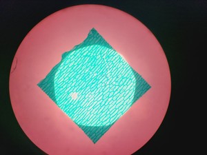 Thumbnail image of Leica DMRBE Microscope w/ Motorised Stage, Cairn Monoled & QImaging wLS LED