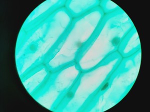 Thumbnail image of Leica DMRBE Microscope w/ Motorised Stage, Cairn Monoled & QImaging wLS LED