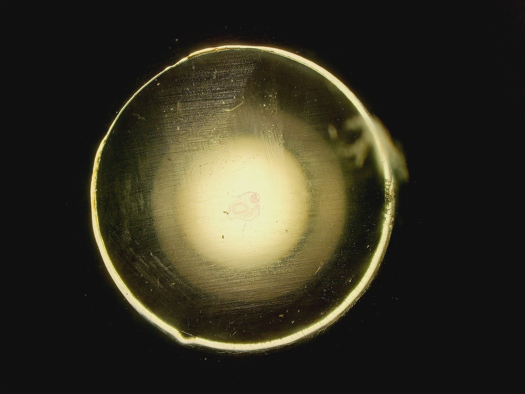 Image of Olympus BX51 Fluorescence Microscope w/ CoolLED pE-300 Illumination Unit