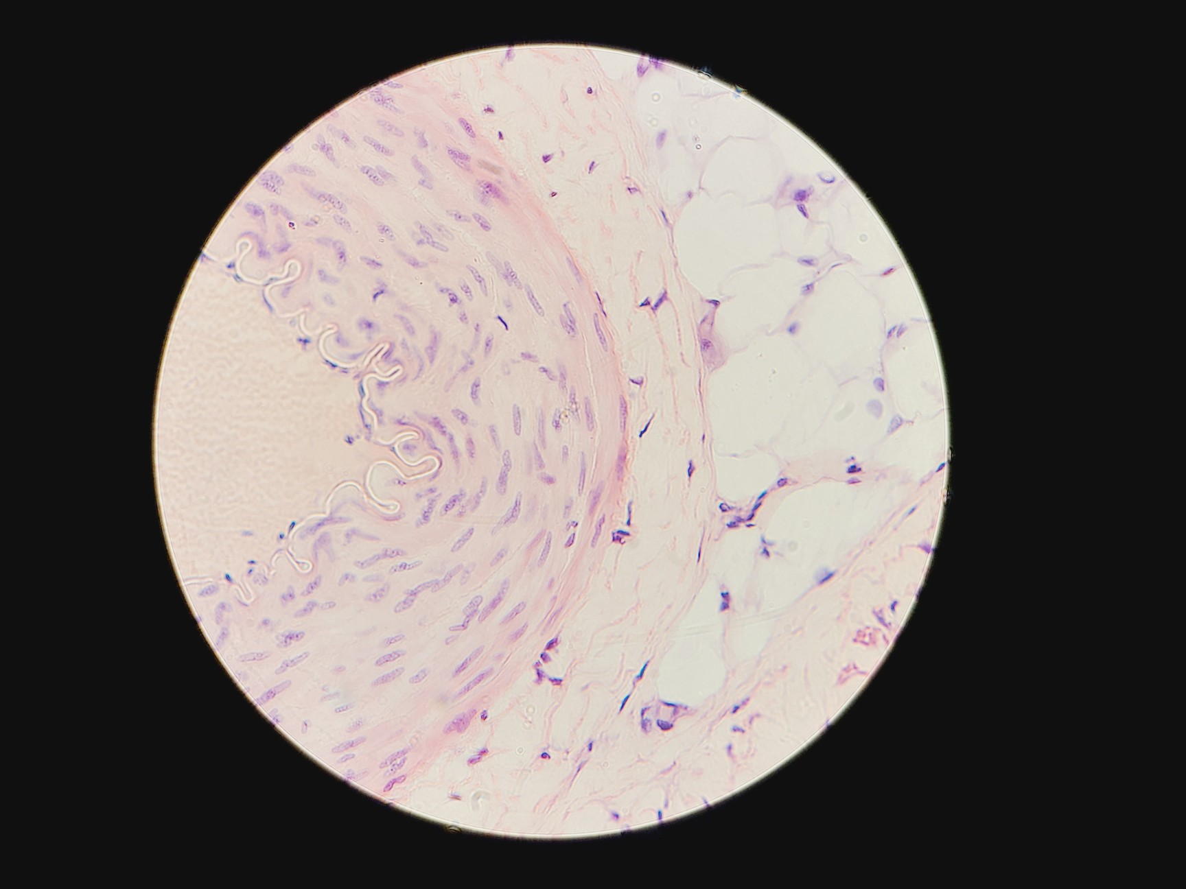 Image of Leica DMLM Microscope w/ Renishaw MS Encoded Stage 100 nm