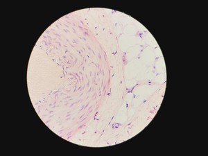 Thumbnail image of Leica DMLM Microscope w/ Renishaw MS Encoded Stage 100 nm