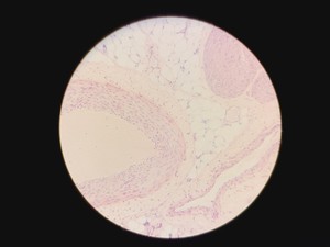 Thumbnail image of Leica DMLM Microscope w/ Renishaw MS Encoded Stage 100 nm