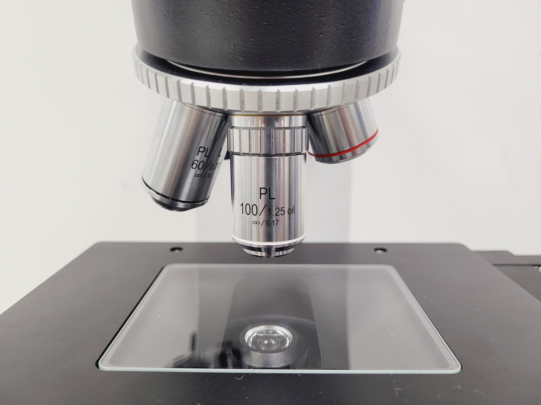 Image of Brunel SP-400 Compound Microscope W/ Toupcam XCAMLITE4K8MPA-mini 4K Camera