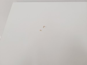 Thumbnail image of Treston Table