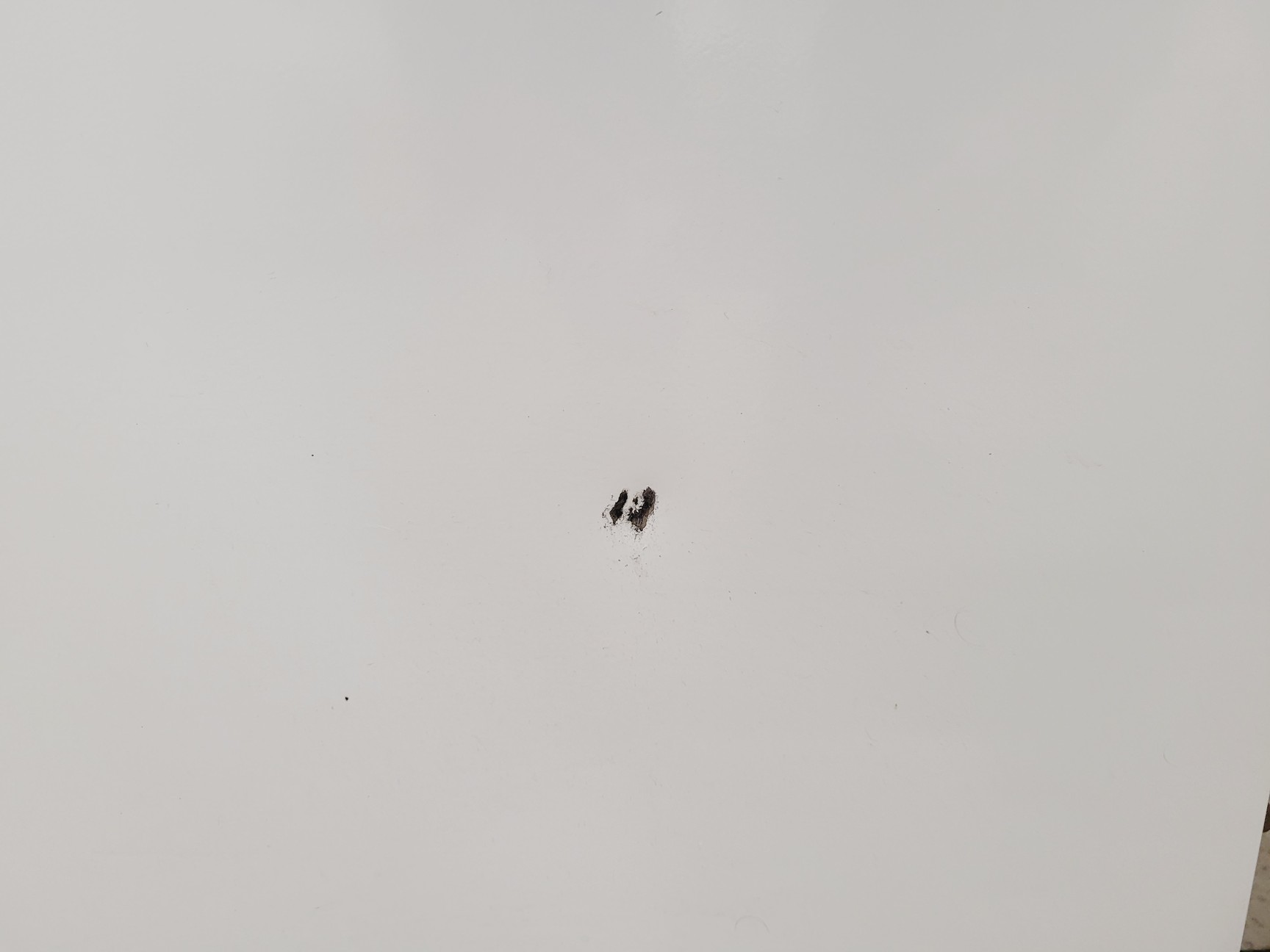 Image of Rumed Rubarth Apparate GmbH 3101 Floor Standing Cooled Incubator