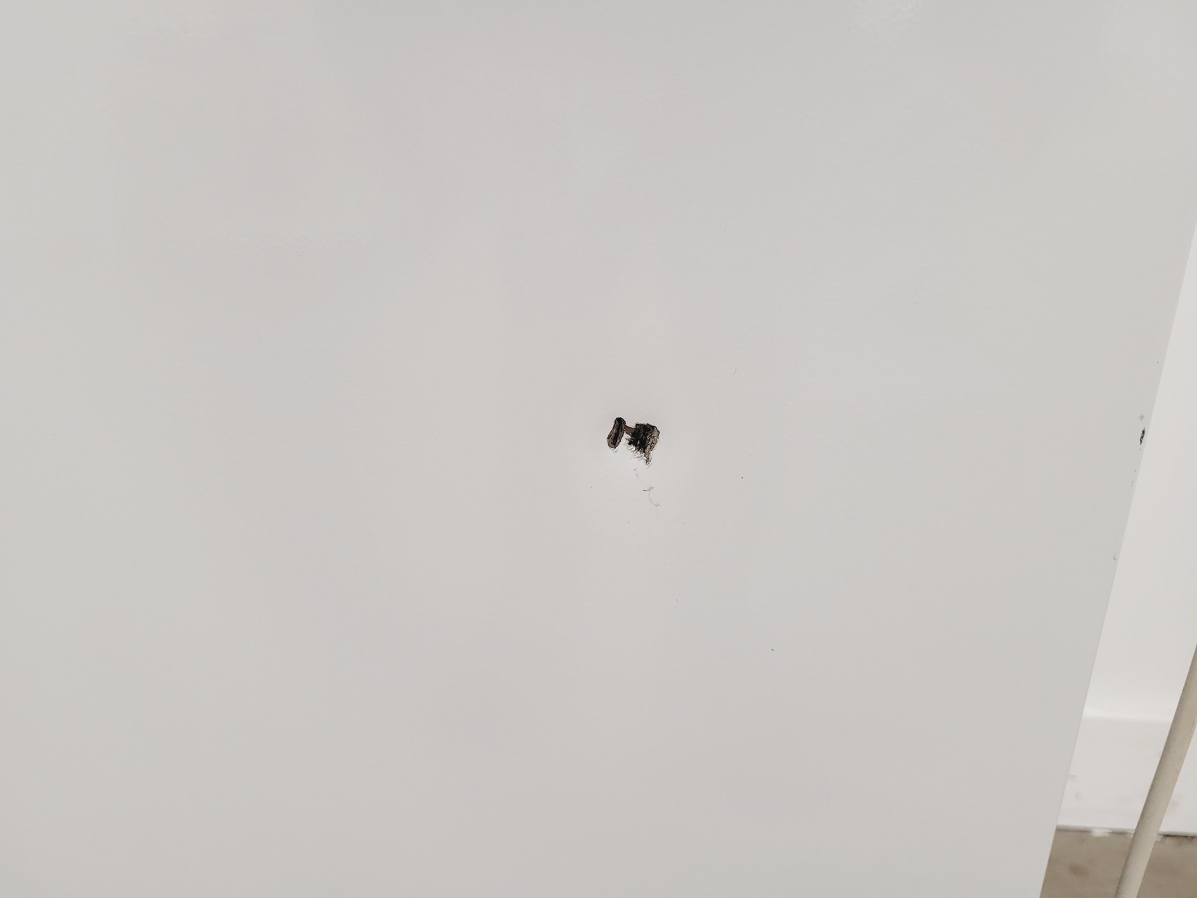 Image of Rumed Rubarth Apparate GmbH 3101 Floor Standing Cooled Incubator