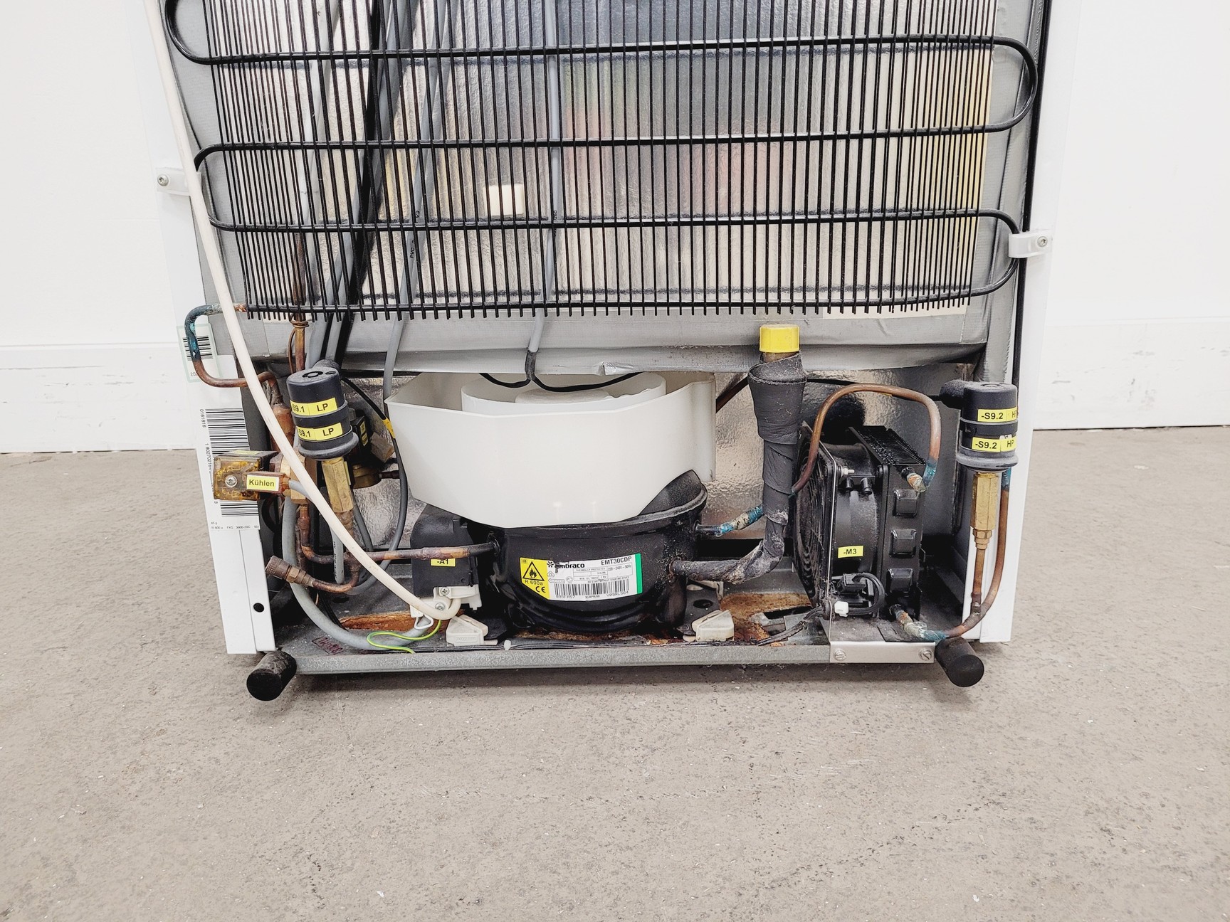 Image of Rumed Rubarth Apparate GmbH 3101 Floor Standing Cooled Incubator
