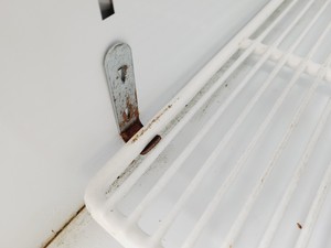 Thumbnail image of Commercial MPM120HD/L Swing Door Beverage Cooler 545L