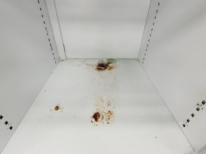 Thumbnail image of Commercial MPM120HD/L Swing Door Beverage Cooler 545L