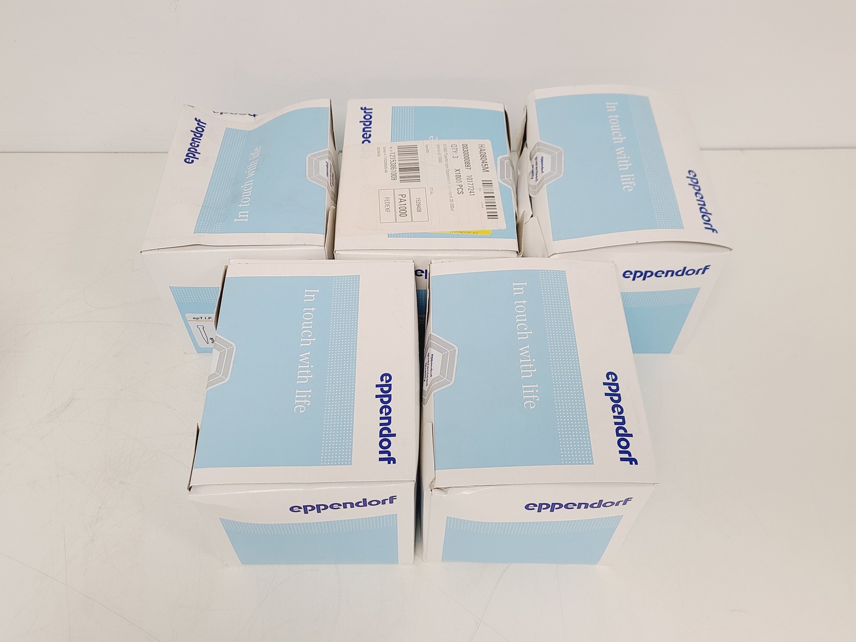 Image of Job Lot of Eppendorf ep Pipette Tips and Racks