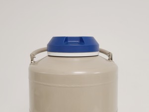 Thumbnail image of Taylor Wharton 10 LD Dewar