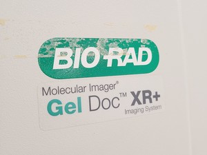 Thumbnail image of Bio-Rad Gel Doc XR+ Molecular Imager