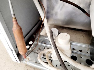 Thumbnail image of Beko FFP1671W Freezer