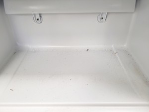 Thumbnail image of Beko FFP1671W Freezer