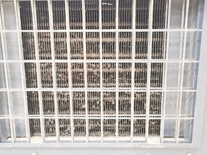 Thumbnail image of New Brunswick Ultra Low Temperature Freezer U570 -86