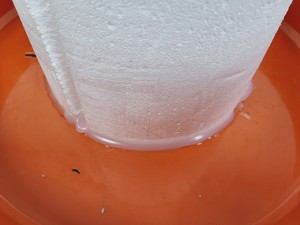 Thumbnail image of Thermolyne Locator 4 Cryo Biological Storage System Lab