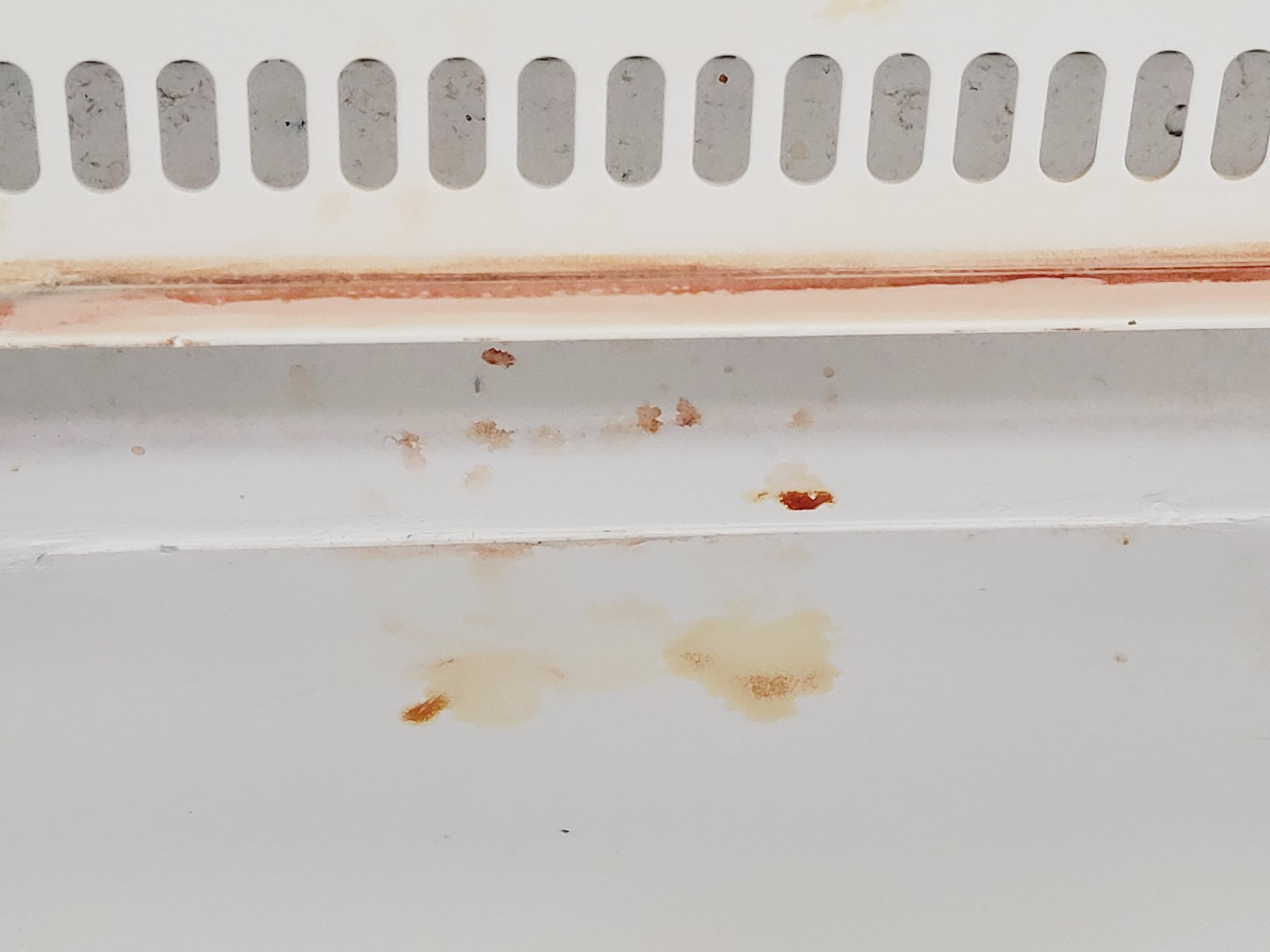 Image of Esco AC2-4G Airstream Duo Safety Cabinet - Spares/Repair Lab