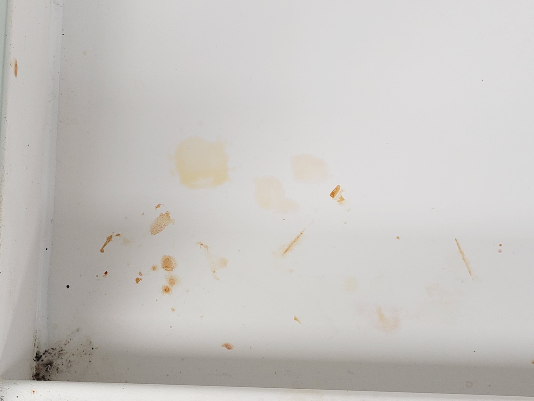 Image of Esco AC2-4G Airstream Duo Safety Cabinet - Spares/Repair Lab