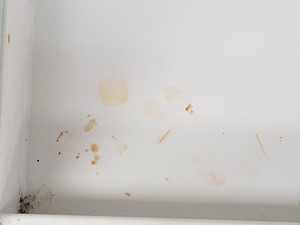 Thumbnail image of Esco AC2-4G Airstream Duo Safety Cabinet - Spares/Repair Lab