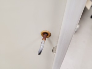 Thumbnail image of Gallenkamp Cooled Incubator w/ Timed Cycling App. No 6B 7801 B