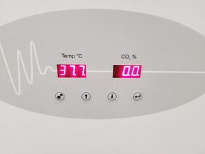 Thumbnail image of LEEC Precision 190D Culture Safe CO2 Incubator