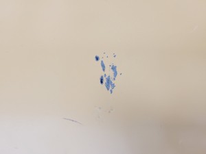 Thumbnail image of LEEC LSS Drying Cabinet