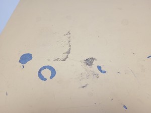 Thumbnail image of LEEC LSS Drying Cabinet