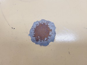 Thumbnail image of LEEC LSS Drying Cabinet