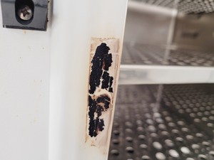 Thumbnail image of Binder CB 150 Floorstanding Incubator Lab