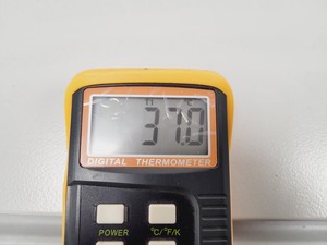 Thumbnail image of Binder CB 150 Floorstanding Incubator