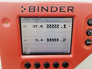 Thumbnail image of Binder CB 150 Floorstanding Incubator