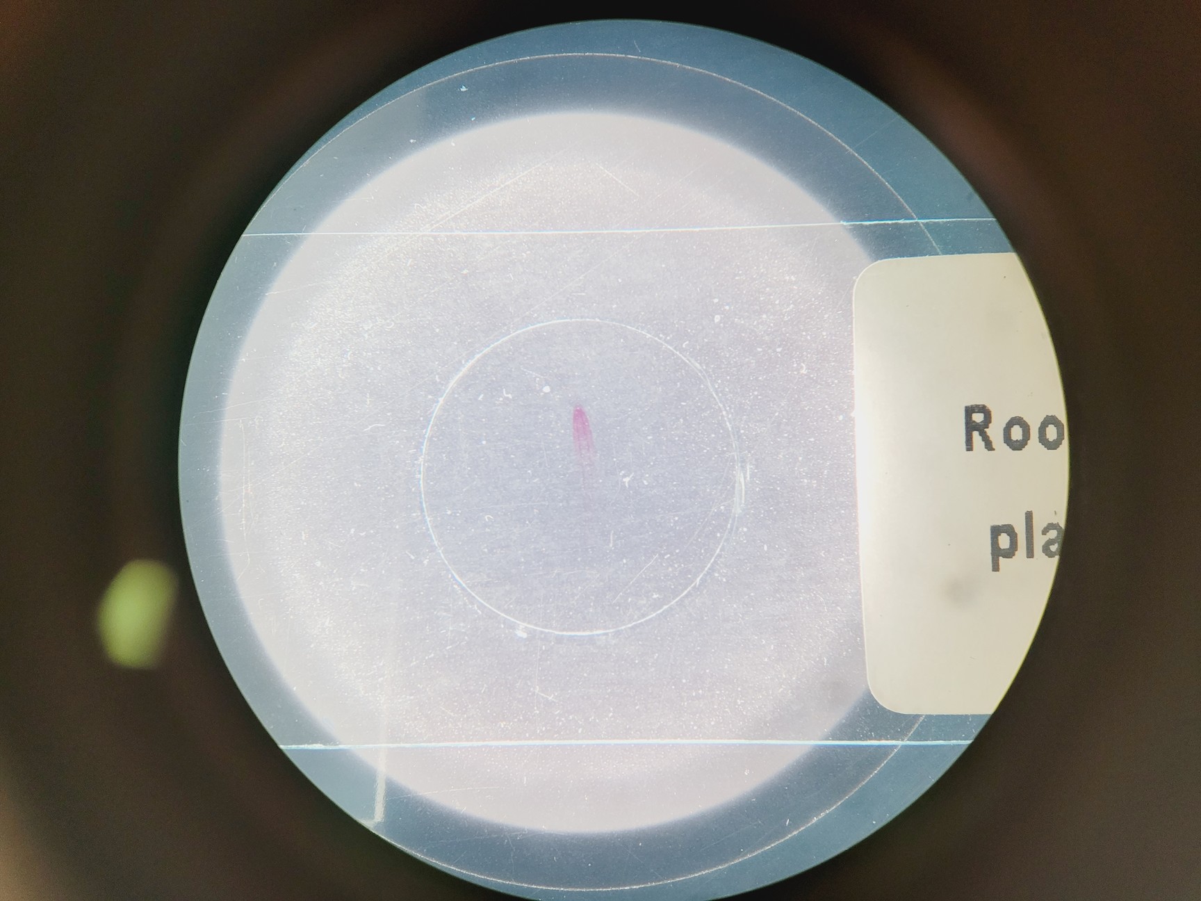 Image of Leica M60 Stereo Microscope, CLS 150 X Light Source, & MPS 60 Interface Panel