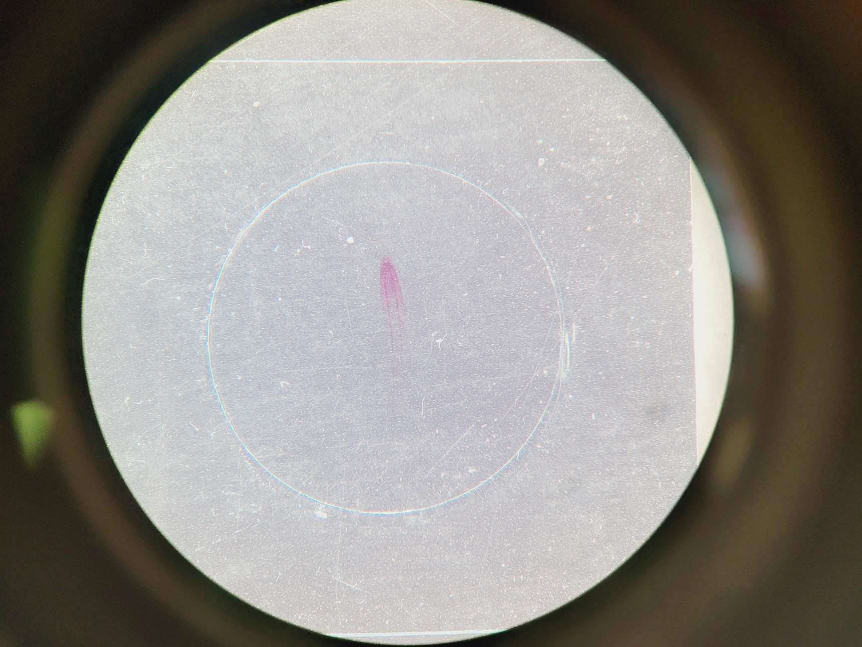 Image of Leica M60 Stereo Microscope, CLS 150 X Light Source, & MPS 60 Interface Panel