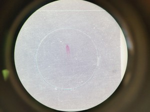 Thumbnail image of Leica M60 Stereo Microscope, CLS 150 X Light Source, & MPS 60 Interface Panel