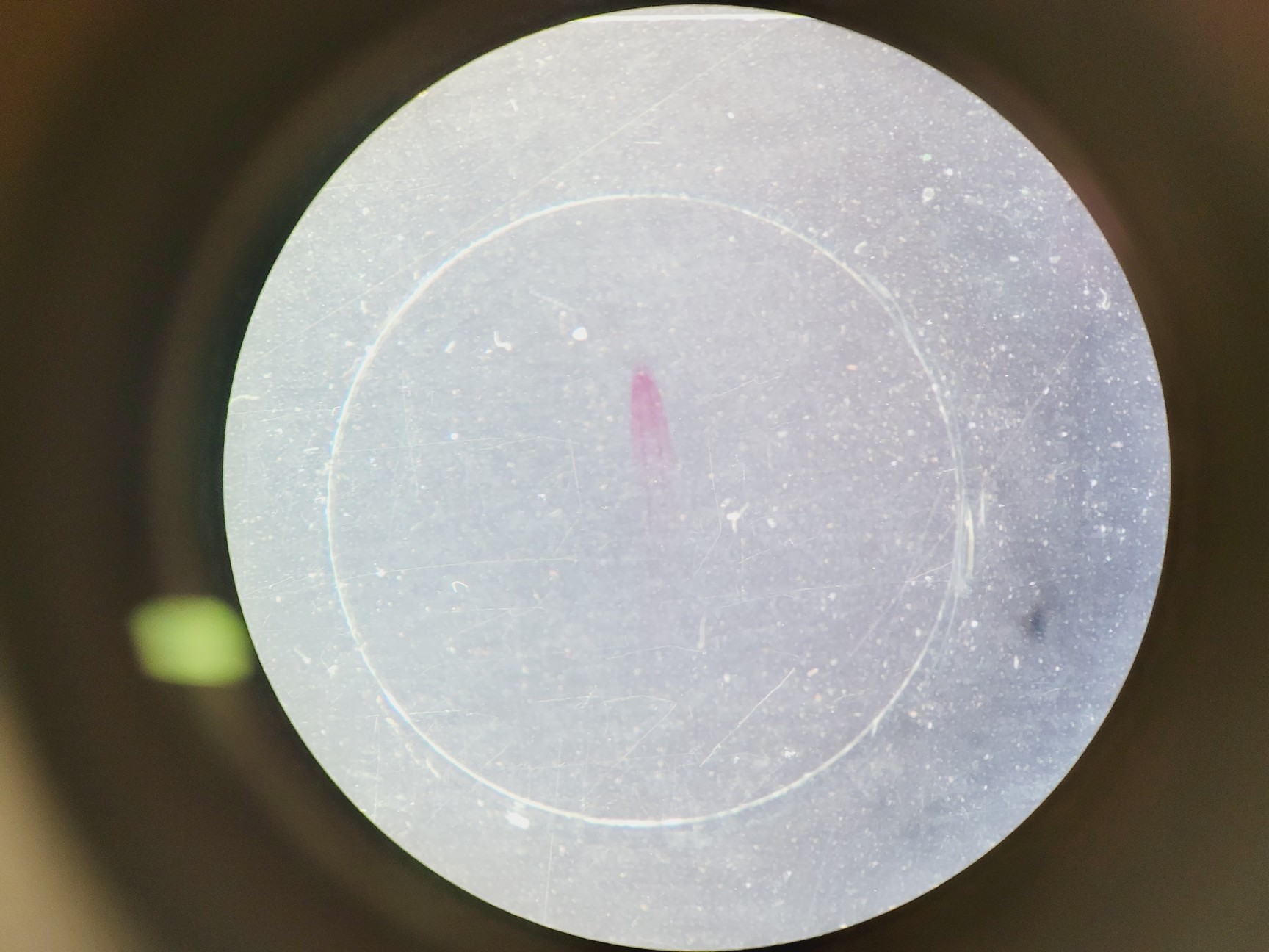 Image of Leica M60 Stereo Microscope, CLS 150 X Light Source, & MPS 60 Interface Panel