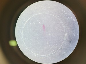 Thumbnail image of Leica M60 Stereo Microscope, CLS 150 X Light Source, & MPS 60 Interface Panel