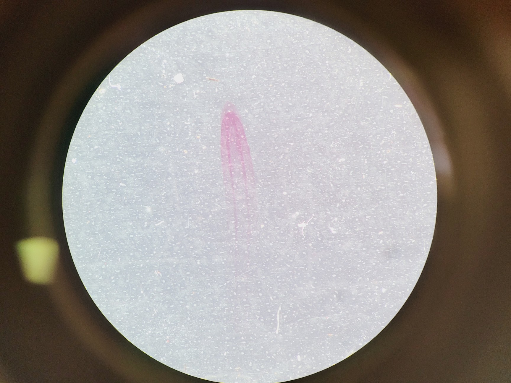 Image of Leica M60 Stereo Microscope, CLS 150 X Light Source, & MPS 60 Interface Panel