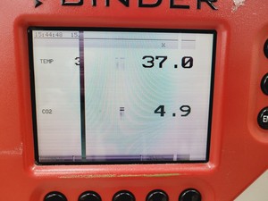 Thumbnail image of Binder CB 150 Floorstanding Incubator
