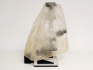 Thumbnail image of Nikon Optiphot Microscope w/ Microflex HFX-II & FX-35A Attachments